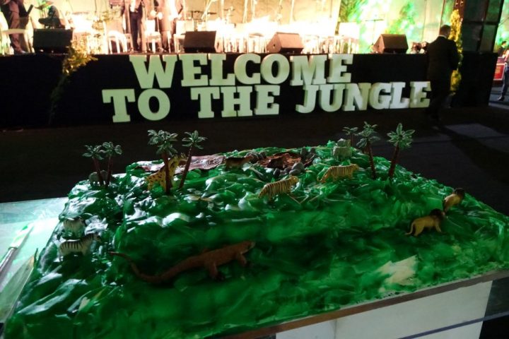 baile_gala 219 Custom